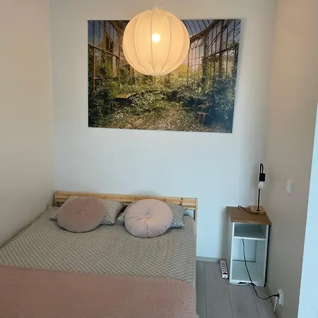 New Homes Ii *