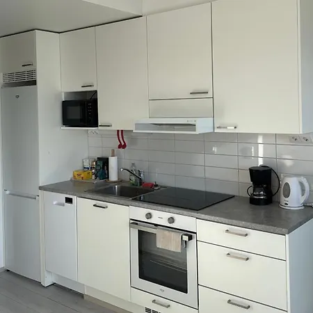 New Homes Ii Apartamento Tampere